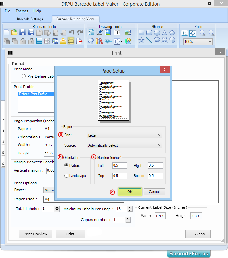 Set Page Setup